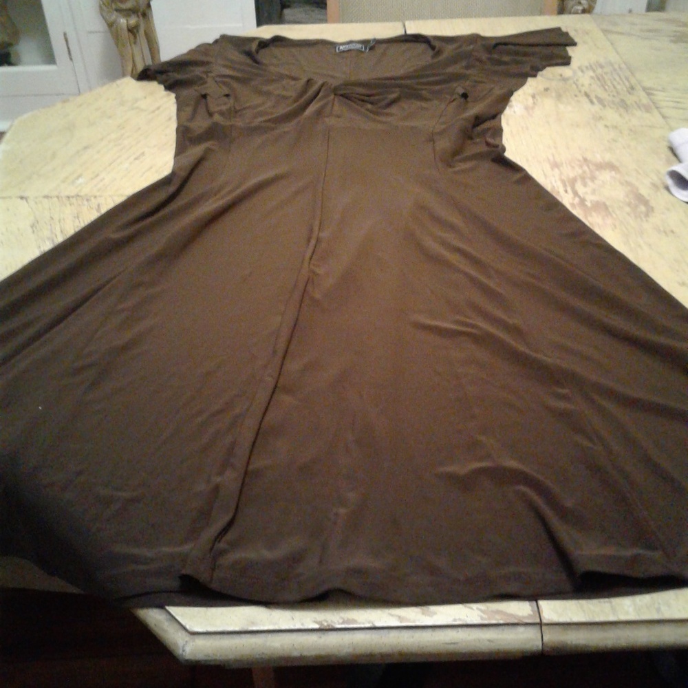 Sexy Brown Dress